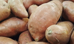 Les Champs Paradis - patate douce 1kg