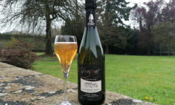 Domaine Fourmond Lemorton - Poiré Domfront Tradition AOP BIO - Cuvée Ambassadeur