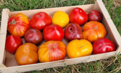 Le Pré de la Rivière - 5kg de tomates anciennes variées Bio - Origine France