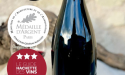 Domaine de la Chopinière du Roy - PROMO 10 % - 12 bouteilles de 12 Arpents 2023 vin rouge Saint Nicolas de Bourgueil- 12 x 75 cl