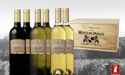 Vignobles Fabien Castaing - Caisse Bois 6 bouteilles La Cuvée Grands Vins Domaine de Moulin-Pouzy