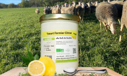 Dessine moi une brebis - Yaourt Brebis Citron 780g