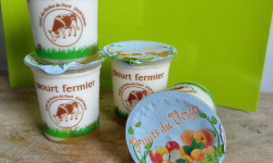 Ferme Chambon - Yaourts Au Lait Cru Et Aux Fruits (fruits Du Verger) X4