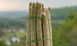Les Asperges et Framboises du Soissonnais - Asperges Blanches Calibre 16-22 -10kg