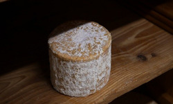 Alléosse Maitre Artisan Affineur Fromager - Bleu d'Auvergne AOP au lait cru