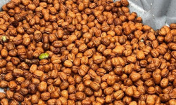 La Noyeraie des Borderies - NOIX FRAICHES BIO 1kg RÉCOLTE 2025