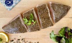 La Criée d'à Côté - Turbot - Pavés sur Peau | Lot de 1 Kg