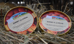 Les Glaces de la Promesse - Sorbet Pêche Et Sorbet Citron 2x 500 Ml