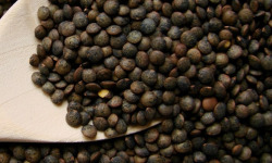 Maréchal Fraicheur - Lentilles BIO - 500 gr