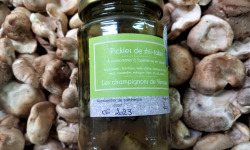 Les champignons de Vernusse - Pickles de shiitakes - 200g