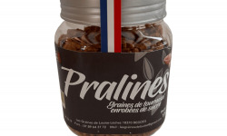 Les Graines de Louise - ANTI GASPI Pralines de Tournesol