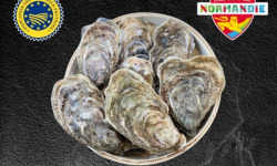 Le Termer - Huîtres de Normandie IGP N°4-96 Pièces "Saveurs de Normandie"