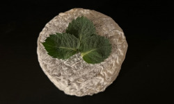 La Fromagerie Marie-Anne Cantin - Quercy