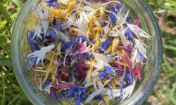 La Cabane à plantes - Pétales de fleurs