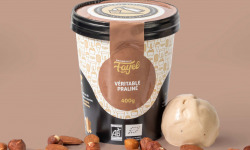 Mademoiselle Fayel - Crème Glacée Véritable praliné  - 100% Bio 500ml
