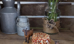 Boutique Boisette - Chèvre enrobé pempa 150g