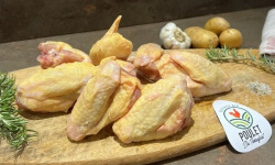 Charcuterie Commenges - [Précommande] 8 Ailes de Poulet Fermier BIO - 1kg