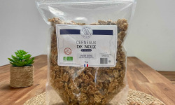 Des 2 Puys - Cerneaux de Noix du Périgord AOP / BIO - 1kg
