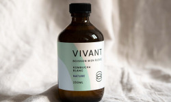 Vivant Kombucha - Kombucha Thé blanc Bio x6