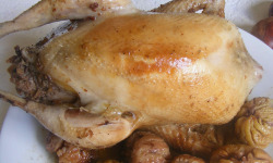 Cailles de Chanteloup - LOT de 1 Faisan(e) prêt à cuire, calibre 1201-1250gr + 1 verrine (190gr)