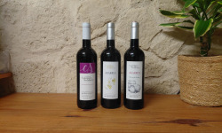 Domaine Les Conques Soulière - ROUGE 3 bouteilles Panachées
