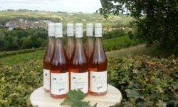 Domaine Doudeau-Leger - Sancerre Rosé AOC 2023 - 6 Bouteilles