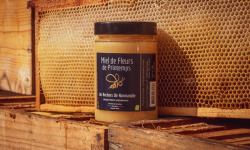 Les Ruchers de Normandie - Miel de Fleurs de printemps crémeux 500g