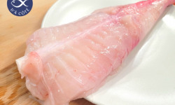 La Criée d'à Côté - Queue de Lotte Pelée et Vidée | 1,4 Kg à 1,9kg la pièce