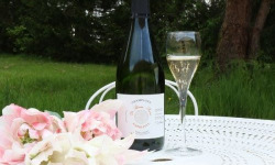 Champagne De Sloovere - Pienne - Champagne Empreinte Extra Brut 75cl x6