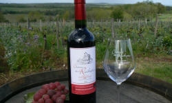 Château des Rochers - Vin rouge AOC Castillon-côte de Bordeaux 2019