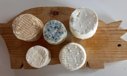 Ferme de la Limaye - Offre découverte - Fromage de chèvre 600g