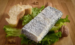 Morgane Man - Histoire de chèvres - Le Pavé Béarnais cendré 250g
