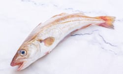 Poissonnerie La Piriacaise - Merlan 500g