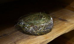 Alléosse Maitre Artisan Affineur Fromager - Tomme fermière au Foin au lait cru 1kg