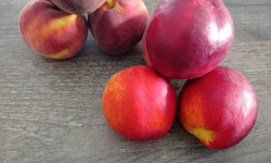 Massot Delphine et Garrigue Marc - Pack promo 4kg peche ou nectarine + 8kg peche ou nectarine pour jus ,compote ou confiture.