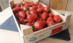 Gourmets de l'Ouest - Fraises de Saint-Malo - plateau 1kg