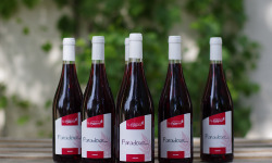Domaine de l'Ambroisie - Paradoxe  6x75cl