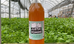 Les Nouvelles Fermes - Jus de pomme à la menthe (1L)