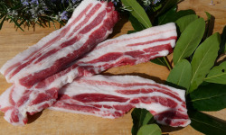 Terres EnVie - Ventrèche de Cochon Mangalica Bio Mâture - 300g