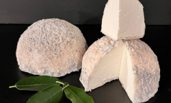 La Fromagerie Marie-Anne Cantin - Taupinière Marie-Anne Cantin