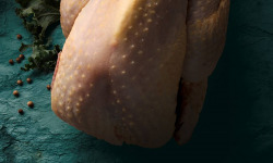 Les Volailles de la Garenne - [Précommande] Pintade chaponnée