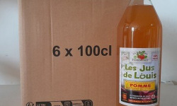Le Domaine du Framboisier - Les Jus de Louis Pomme 100% Pur Jus 6 x 1L