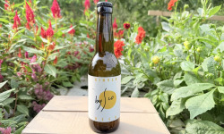 Nature et Saveurs - Ferme Aquaponique et Permacole Astérienne - Kombucha Ginger Beer Bio Bysco - 75cl