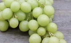 L'OLIVERAIE DU COUDON - RAISIN BLANC SANS PEPINS 3KG