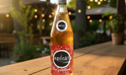 Bière L’Eurélienne – Brasserie de Chandres - THE PETILLANT FRAISE Apick! bouteille de soda 1L