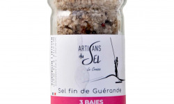 Artisans du Sel - Moulin à Sel au Poivre 3 Baies 80g x 9