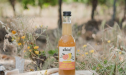 Sibio - Thé blanc peche citron - 33cl