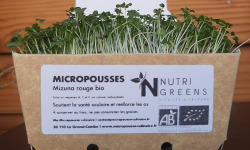 Ma Micropousse culinaire - Micro-pousses de moutarde blanche Bio 4 barquettes
