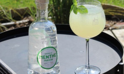 Distillerie de la Seine - Liqueur de Menthe 70cl