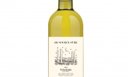 Ferme de Vertessec - Vin Blanc fermentation naturelle, Nébuloïde 2023 Vin de FRANCE